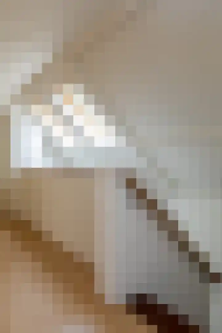 Brandsweg 44 Hulshorst thumbnail 27