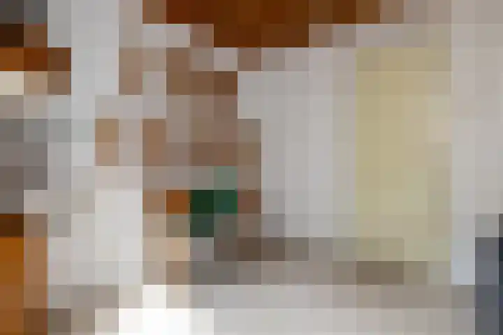 Brandsweg 44 Hulshorst thumbnail 34