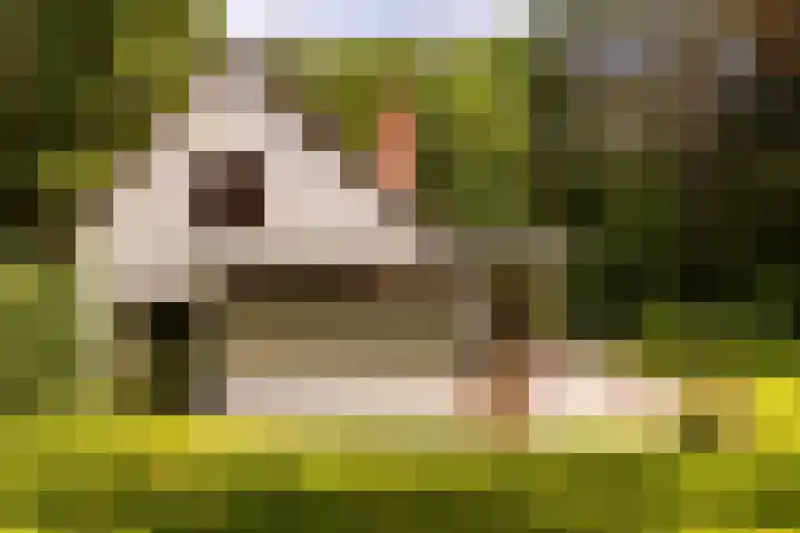 Brandsweg 44 Hulshorst thumbnail 37
