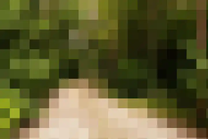 Brandsweg 44 Hulshorst thumbnail 40