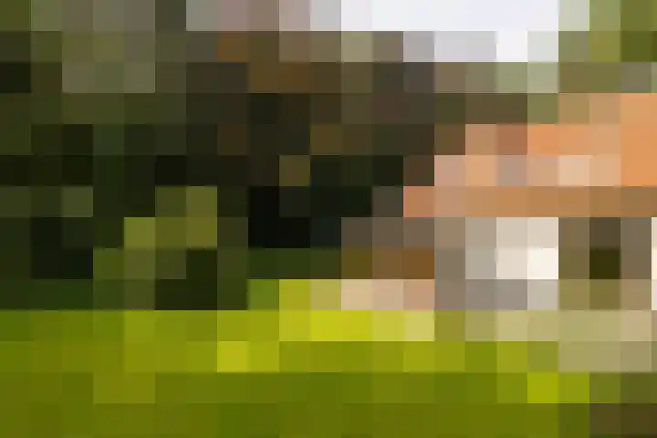 Brandsweg 44 Hulshorst thumbnail 5