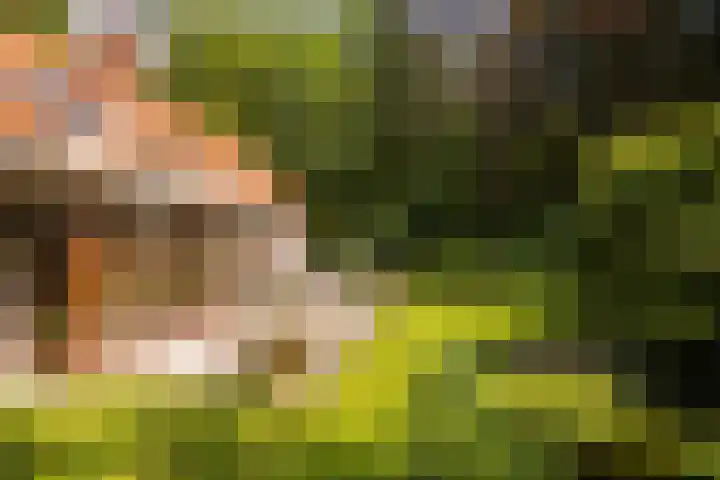 Brandsweg 44 Hulshorst thumbnail 6
