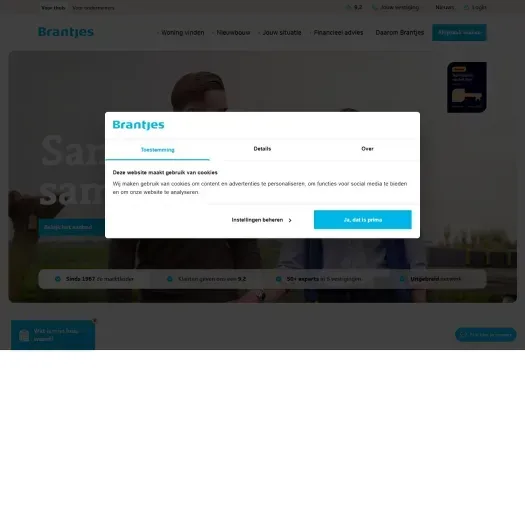 Screenshot of the website of www.brantjesmakelaars.nl