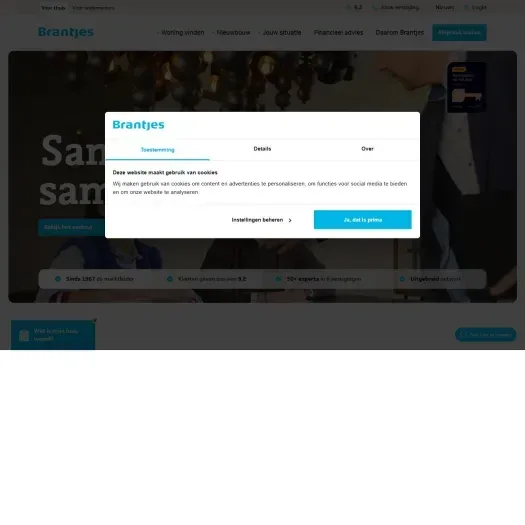 Screenshot van de website van www.brantjesmakelaars.nl