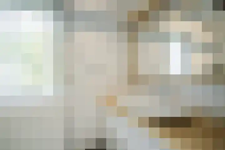 Brantsenpark 38 De Steeg thumbnail 31