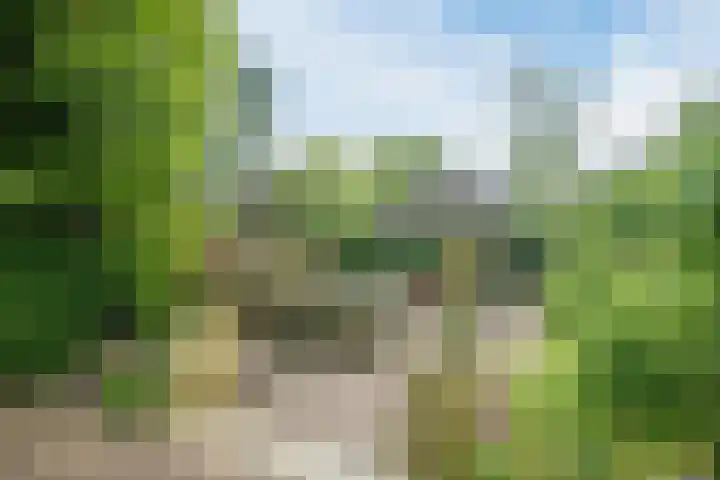 Brantsenpark 38 De Steeg thumbnail 44