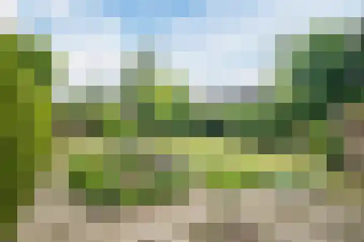 Brantsenpark 38 De Steeg thumbnail 47