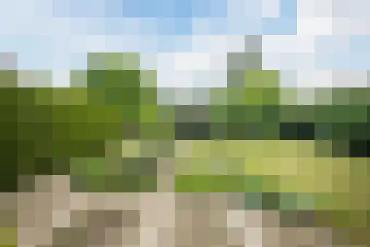 Brantsenpark 38 De Steeg thumbnail 48