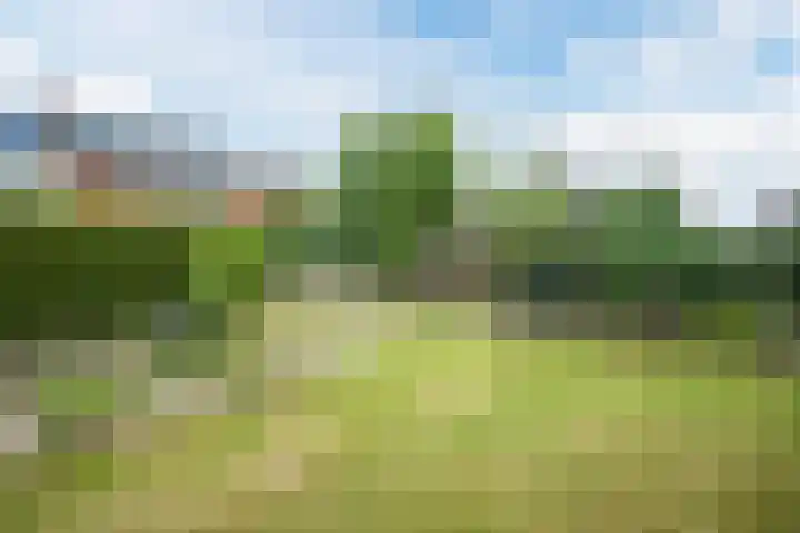 Brantsenpark 38 De Steeg thumbnail 49
