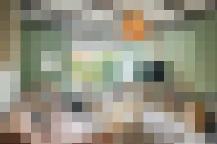 Brantsenpark 38 De Steeg thumbnail 5
