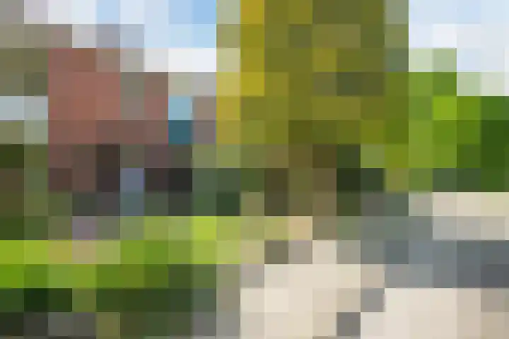 Brantsenpark 38 De Steeg thumbnail 53