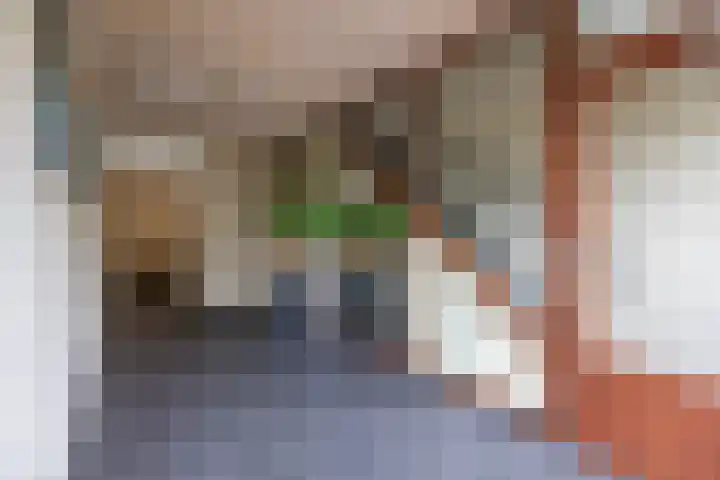 Brasem 166 Doetinchem thumbnail 38