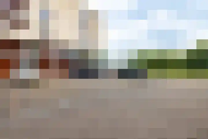 Brasem 166 Doetinchem thumbnail 42