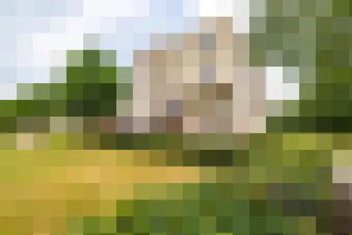Brasem 166 Doetinchem thumbnail 44