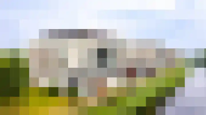 Brasem 166 Doetinchem thumbnail 46