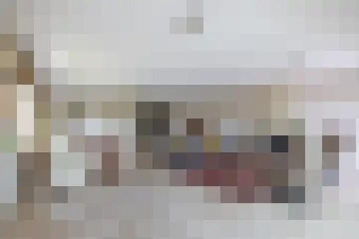 Brasem 166 Doetinchem thumbnail 5