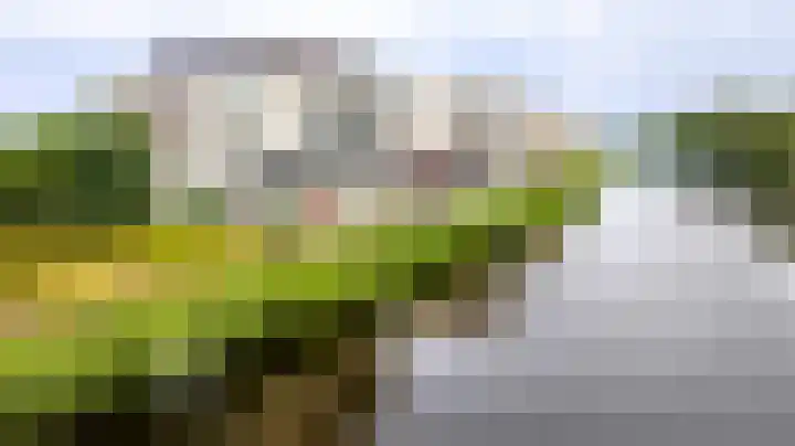Brasem 166 Doetinchem thumbnail 52