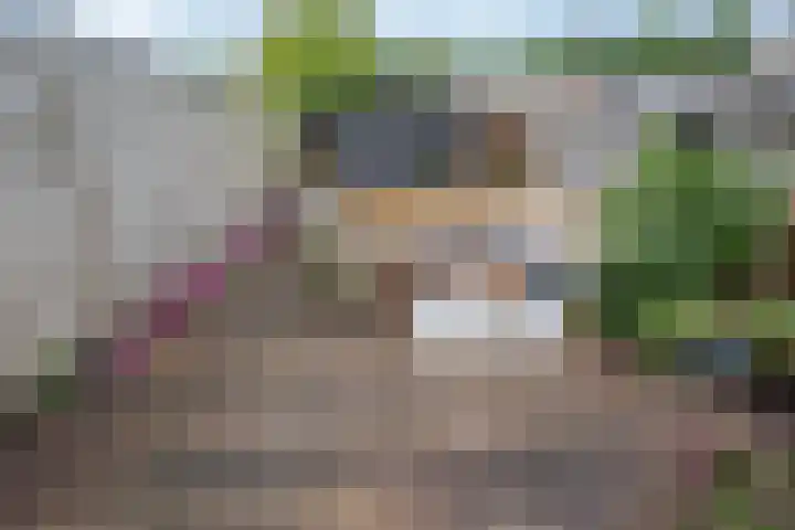 Brasem 17 Hellevoetsluis thumbnail 18