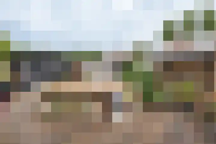 Brasem 17 Hellevoetsluis thumbnail 19