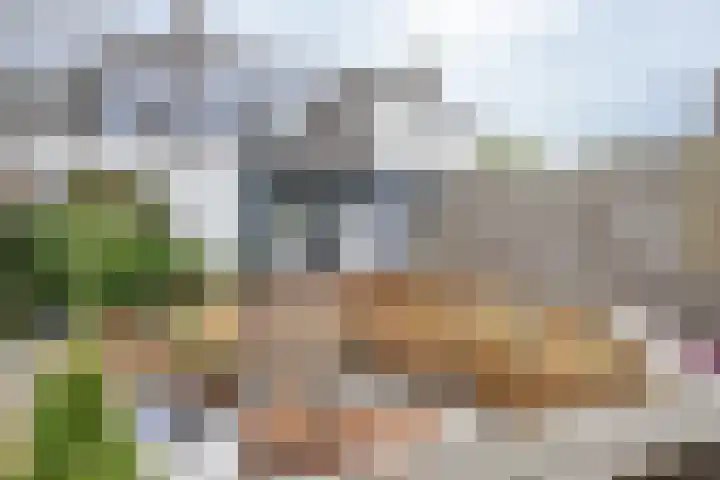 Brasem 17 Hellevoetsluis thumbnail 21
