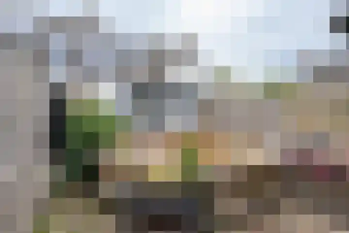 Brasem 17 Hellevoetsluis thumbnail 22