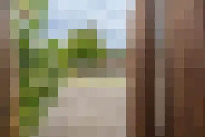 Brasem 17 Hellevoetsluis thumbnail 23
