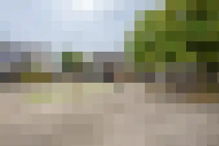 Brasem 17 Hellevoetsluis thumbnail 26