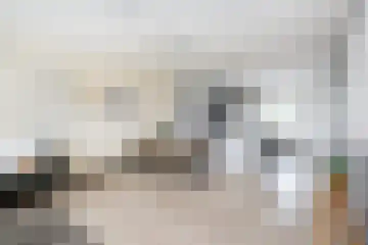 Brasem 17 Hellevoetsluis thumbnail 4