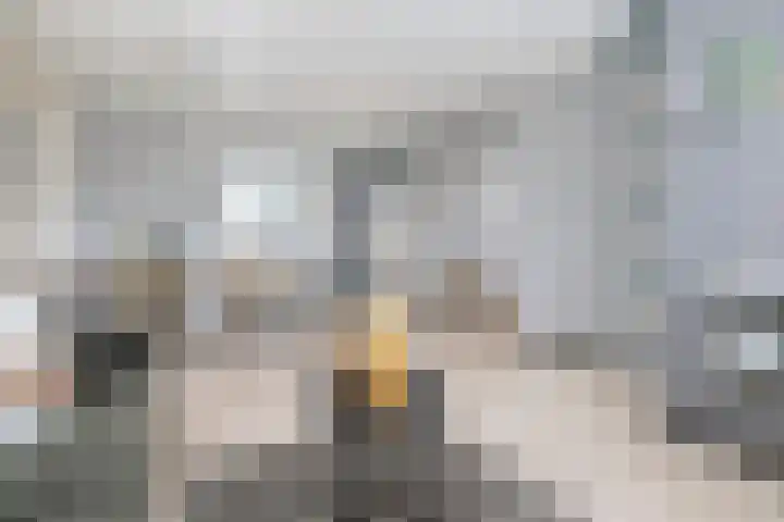 Brasem 17 Hellevoetsluis thumbnail 5