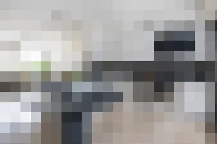 Brasem 17 Hellevoetsluis thumbnail 7