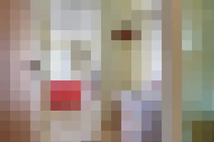 Brasem 36 Doetinchem thumbnail 11