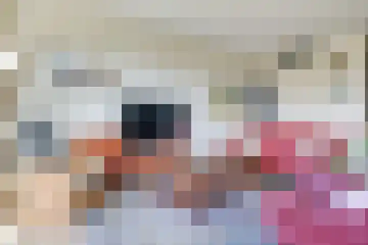 Brasem 36 Doetinchem thumbnail 17
