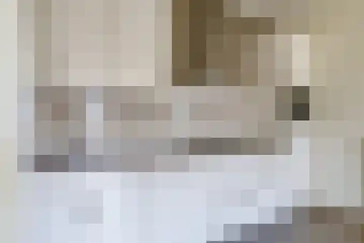 Brasem 36 Doetinchem thumbnail 24