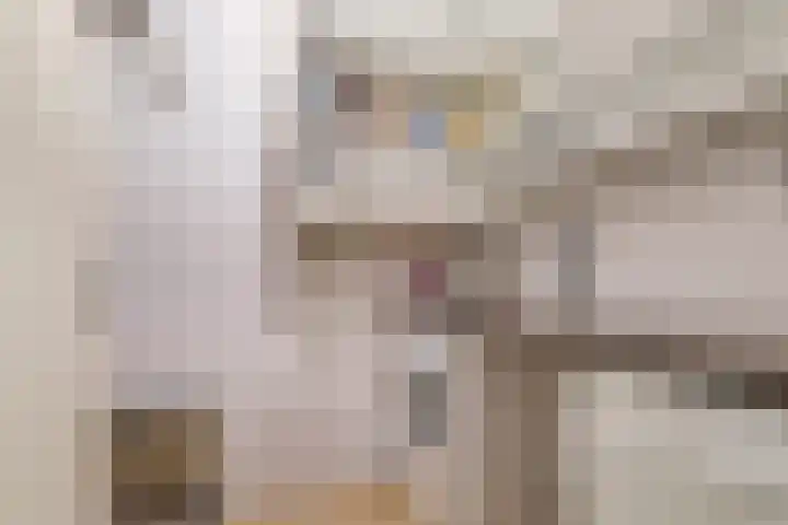 Brasem 36 Doetinchem thumbnail 35