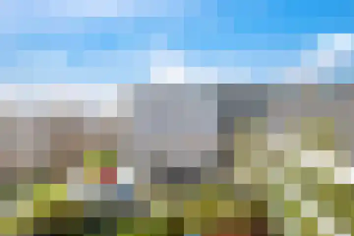 Brasem 36 Doetinchem thumbnail 38