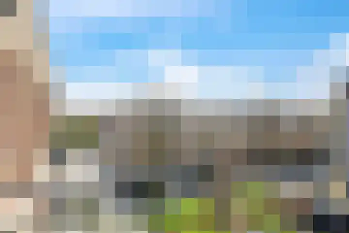 Brasem 36 Doetinchem thumbnail 40