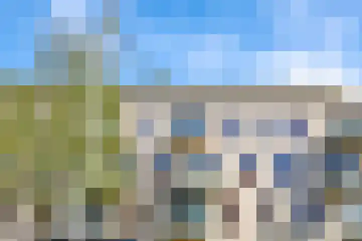Brasem 36 Doetinchem thumbnail 43