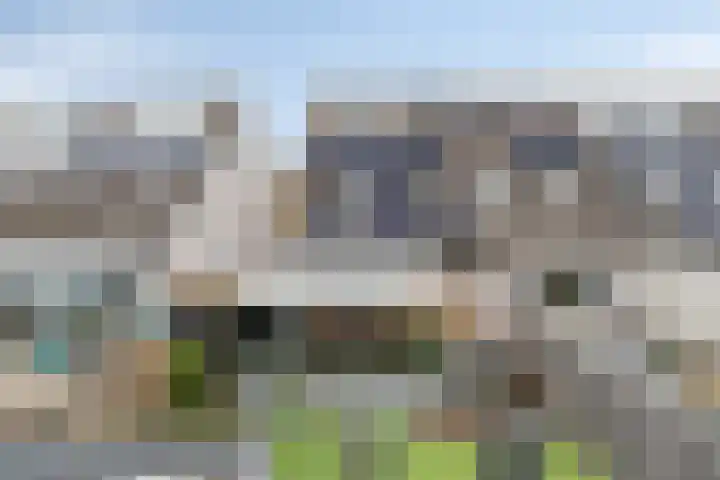 Brasem 55 in Bodegraven