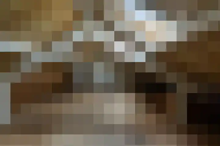 Brasemcroftlaan 16 Heiloo thumbnail 22