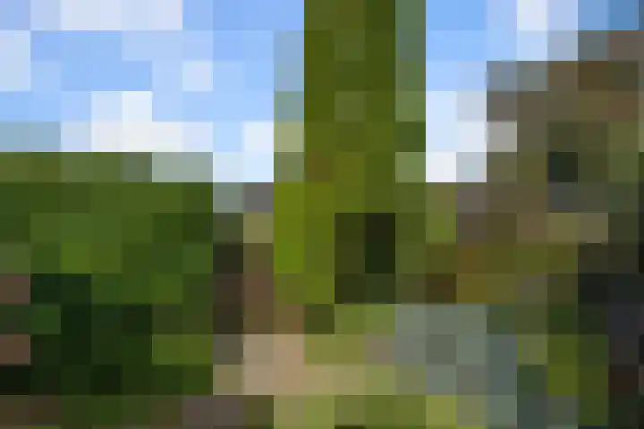 Brasemcroftlaan 16 Heiloo thumbnail 27