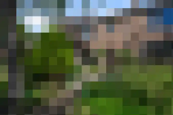 Brasemcroftlaan 16 Heiloo thumbnail 29