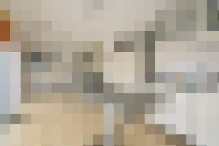 Brasemdam 4 Den Haag thumbnail 10