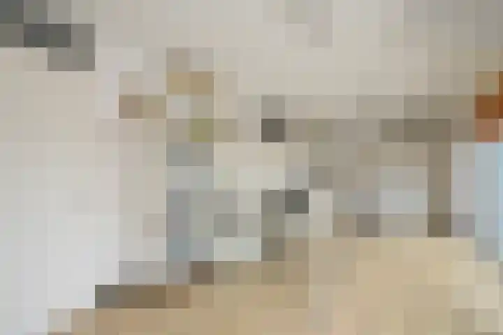 Brasemdam 4 Den Haag thumbnail 13