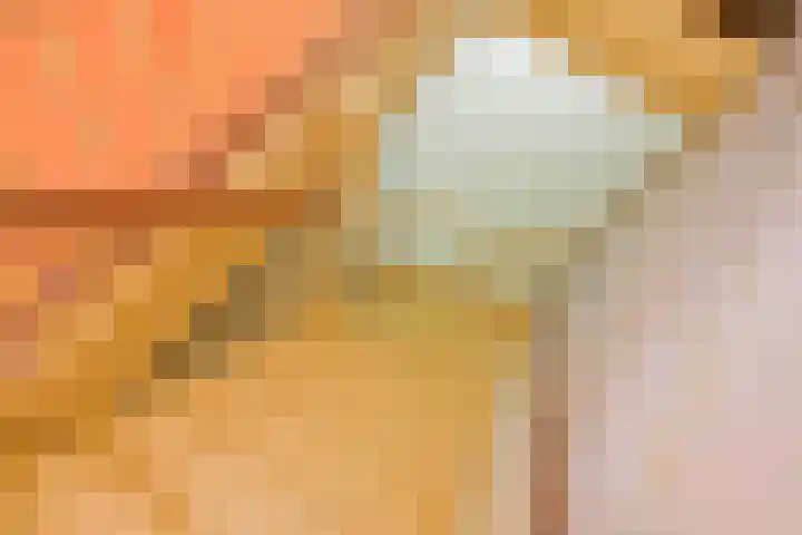 Brasemdam 4 Den Haag thumbnail 15