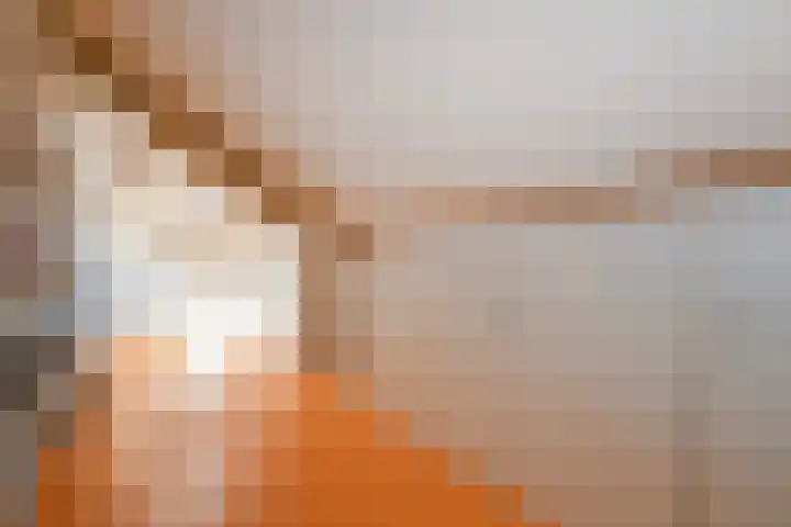 Brasemdam 4 Den Haag thumbnail 16