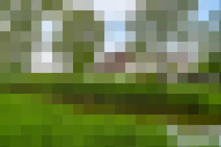 Brasemdam 4 Den Haag thumbnail 17