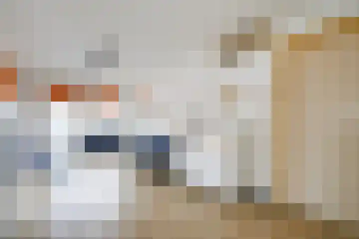 Brasemdam 4 Den Haag thumbnail 5