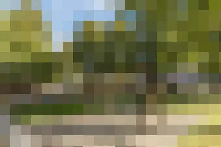 Brasemstraat 23 Tilburg thumbnail 27