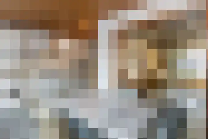 Brasemstraat 23 Tilburg thumbnail 5