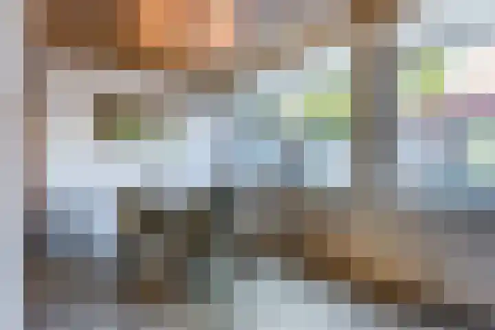 Brasemstraat 23 Tilburg thumbnail 6